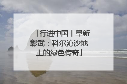 行进中国丨阜新彰武：科尔沁沙地上的绿色传奇