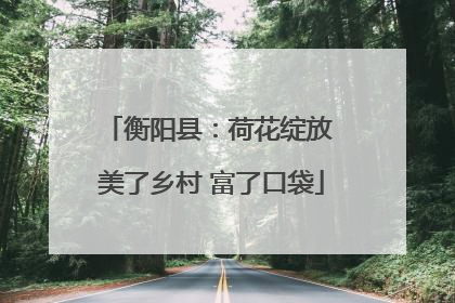 衡阳县：荷花绽放 美了乡村 富了口袋