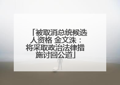 被取消总统候选人资格 金文洙：将采取政治法律措施讨回公道