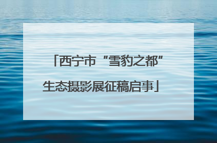 西宁市“雪豹之都”生态摄影展征稿启事