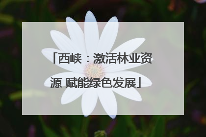 西峡：激活林业资源 赋能绿色发展