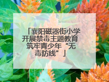 襄阳磁器街小学开展禁毒主题教育 筑牢青少年“无毒防线”