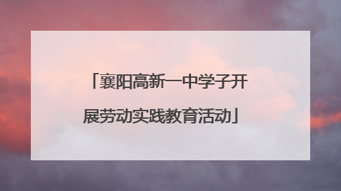 襄阳高新一中学子开展劳动实践教育活动