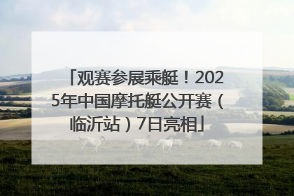 观赛参展乘艇！2025年中国摩托艇公开赛（临沂站）7日亮相