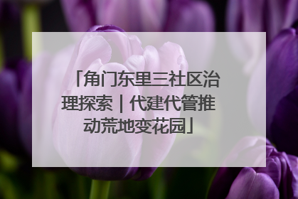 角门东里三社区治理探索｜代建代管推动荒地变花园