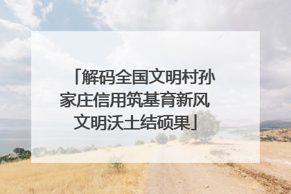 解码全国文明村孙家庄信用筑基育新风文明沃土结硕果