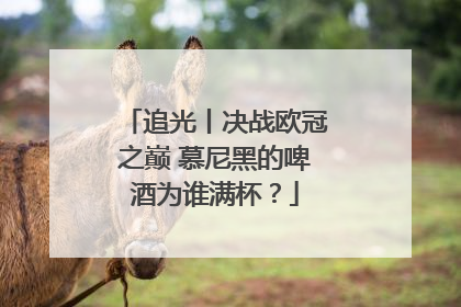 追光丨决战欧冠之巅 慕尼黑的啤酒为谁满杯？