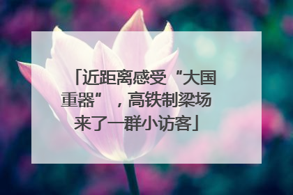 近距离感受“大国重器”，高铁制梁场来了一群小访客