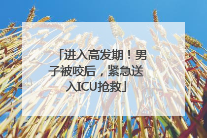 进入高发期！男子被咬后，紧急送入ICU抢救