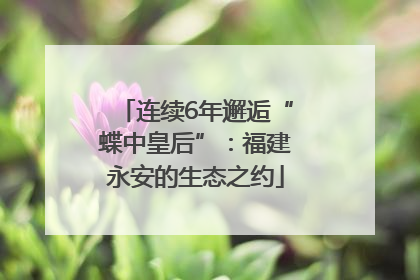 连续6年邂逅“蝶中皇后”：福建永安的生态之约