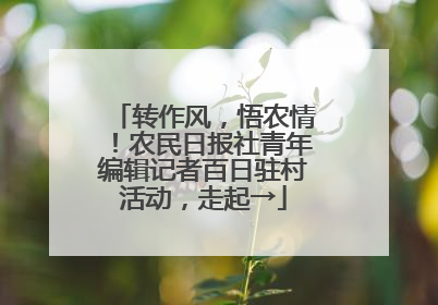 转作风，悟农情！农民日报社青年编辑记者百日驻村活动，走起→