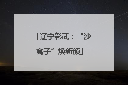 辽宁彰武：“沙窝子”焕新颜