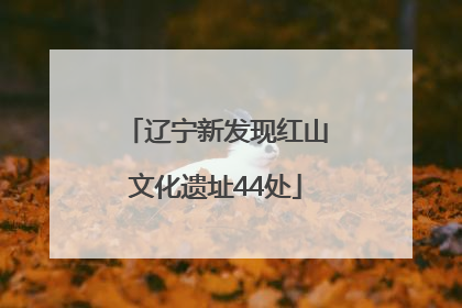 辽宁新发现红山文化遗址44处