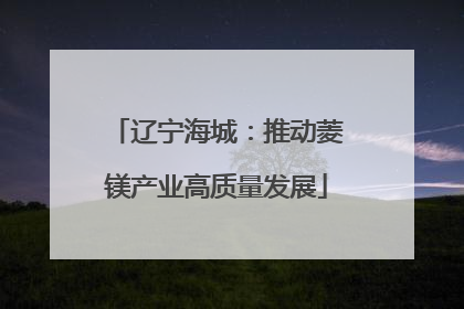 辽宁海城：推动菱镁产业高质量发展