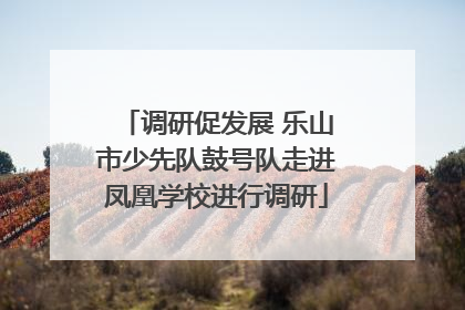 调研促发展 乐山市少先队鼓号队走进凤凰学校进行调研