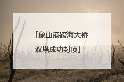 象山港跨海大桥双塔成功封顶