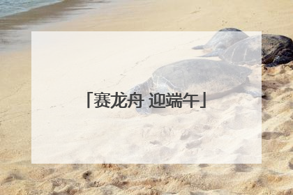 赛龙舟 迎端午