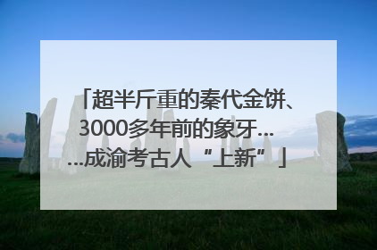 超半斤重的秦代金饼、3000多年前的象牙……成渝考古人“上新”