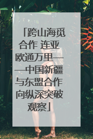 跨山海觅合作 连亚欧通万里——中国新疆与东盟合作向纵深突破观察