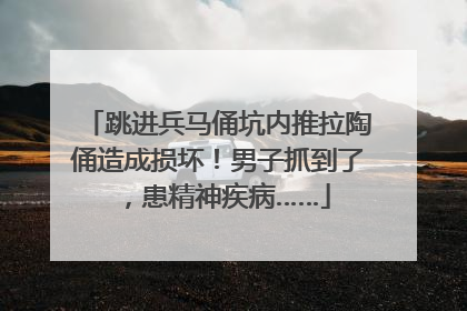 跳进兵马俑坑内推拉陶俑造成损坏！男子抓到了，患精神疾病……