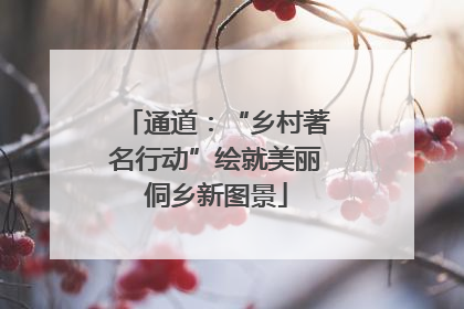 通道：“乡村著名行动”绘就美丽侗乡新图景