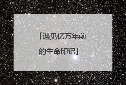 遇见亿万年前的生命印记