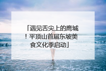 遇见舌尖上的鹰城！平顶山首届东坡美食文化季启动
