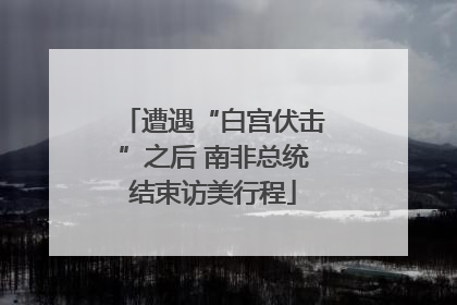 遭遇“白宫伏击”之后 南非总统结束访美行程
