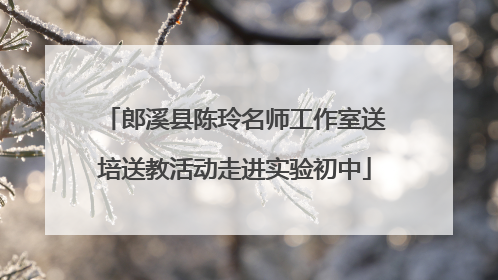 郎溪县陈玲名师工作室送培送教活动走进实验初中