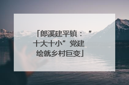 郎溪建平镇：“十大十小”党建 绘就乡村巨变