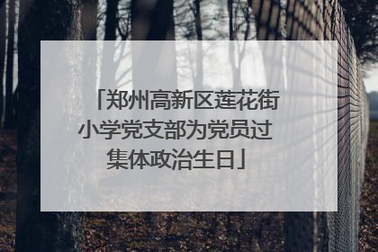 郑州高新区莲花街小学党支部为党员过集体政治生日