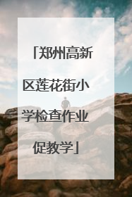郑州高新区莲花街小学检查作业促教学