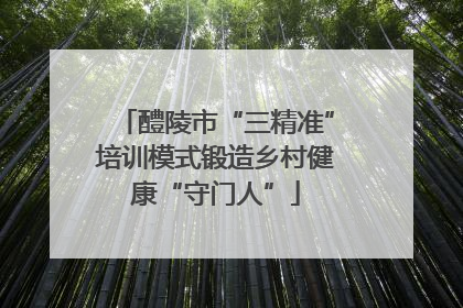 醴陵市“三精准”培训模式锻造乡村健康“守门人”
