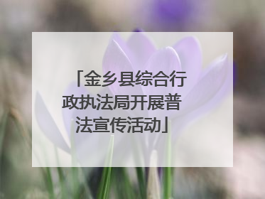 金乡县综合行政执法局开展普法宣传活动