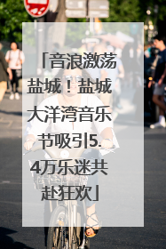 音浪激荡盐城！盐城大洋湾音乐节吸引5.4万乐迷共赴狂欢