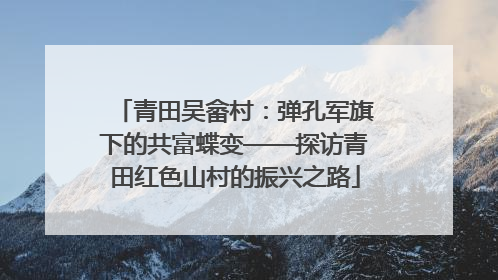 青田吴畲村：弹孔军旗下的共富蝶变——探访青田红色山村的振兴之路