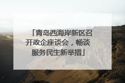 青岛西海岸新区召开政企座谈会，畅谈服务民生新举措