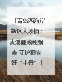 青岛西海岸新区大场镇：麦浪翻滚穗飘香 守护粮安好“丰景”