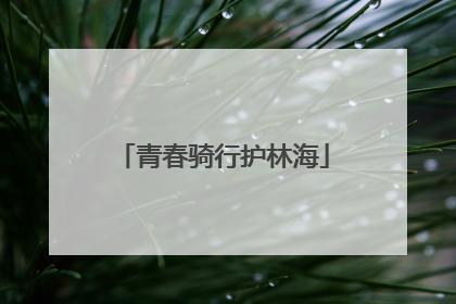 青春骑行护林海