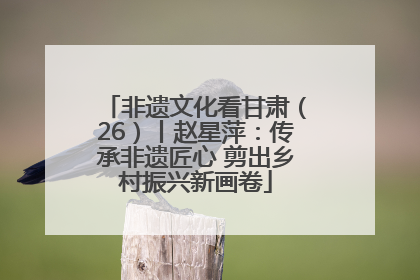 非遗文化看甘肃（26）丨赵星萍：传承非遗匠心 剪出乡村振兴新画卷