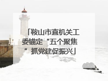 鞍山市直机关工委锚定“五个聚焦”抓党建促振兴