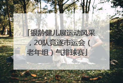 银龄健儿展运动风采，20队竞逐市运会（老年组）气排球赛