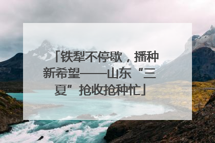 铁犁不停歇，播种新希望——山东“三夏”抢收抢种忙