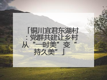 铜川宜君东湖村：党群共建让乡村从“一时美”变“持久美”