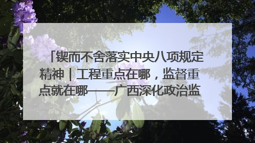 锲而不舍落实中央八项规定精神｜工程重点在哪，监督重点就在哪——广西深化政治监督护航平陆运河建设