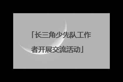 长三角少先队工作者开展交流活动