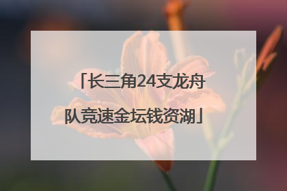 长三角24支龙舟队竞速金坛钱资湖