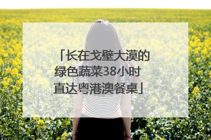 长在戈壁大漠的绿色蔬菜38小时直达粤港澳餐桌