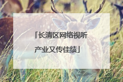 长清区网络视听产业又传佳绩