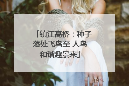 镇江高桥：种子落处飞鸟至 人鸟和谐趣景来